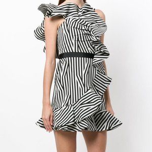Ruffle Zebra Dress Size 6